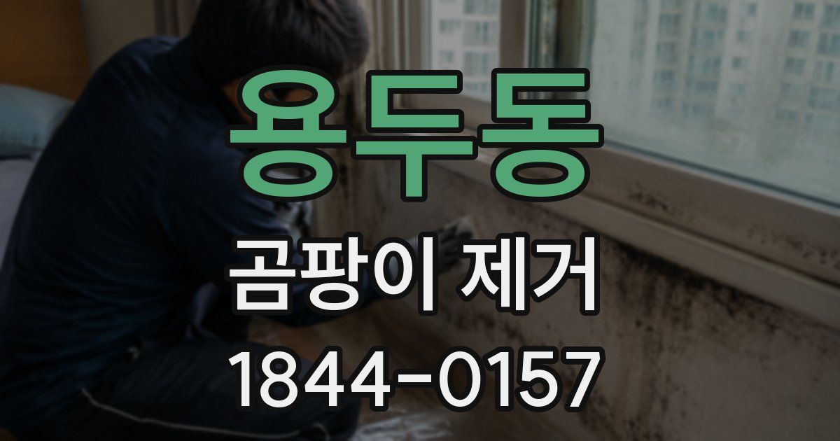 용두동 곰팡이 제거