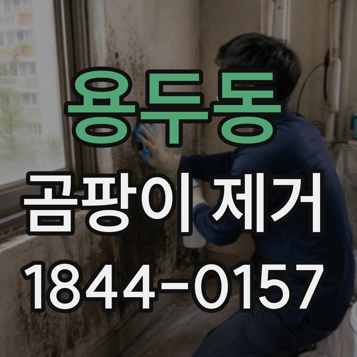 용두동 곰팡이 제거