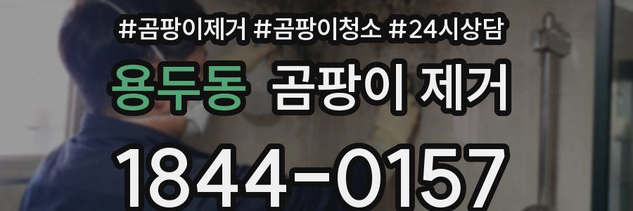 용두동 곰팡이 제거