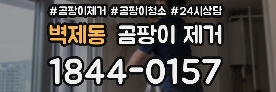 벽제동 곰팡이 제거
