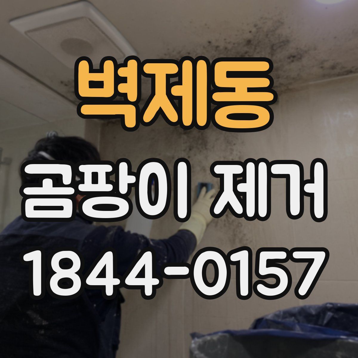 벽제동 곰팡이 제거