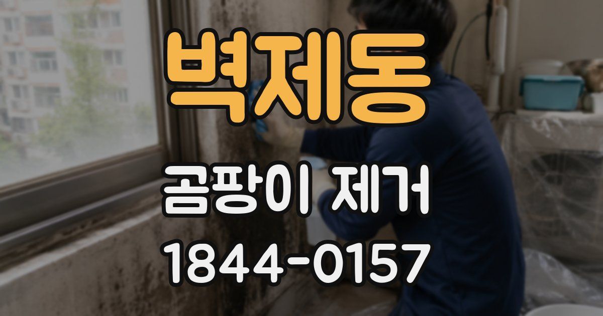 벽제동 곰팡이 제거