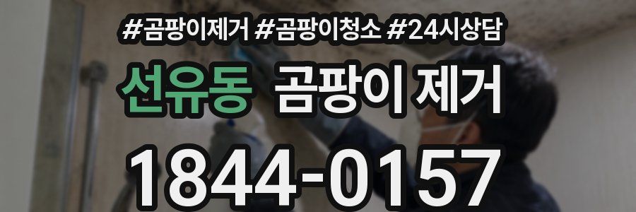선유동 곰팡이 제거