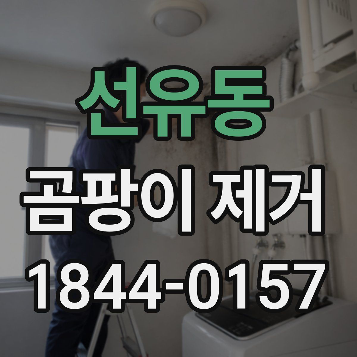 선유동 곰팡이 제거