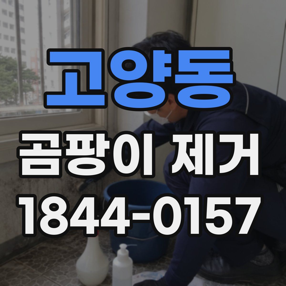 고양동 곰팡이 제거