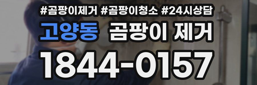 고양동 곰팡이 제거