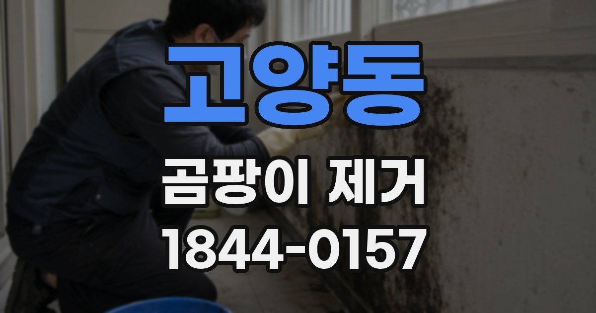 고양동 곰팡이 제거