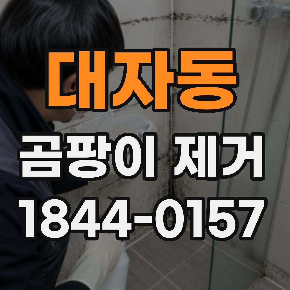 대자동 곰팡이 제거