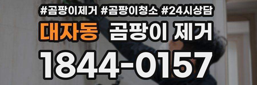 대자동 곰팡이 제거