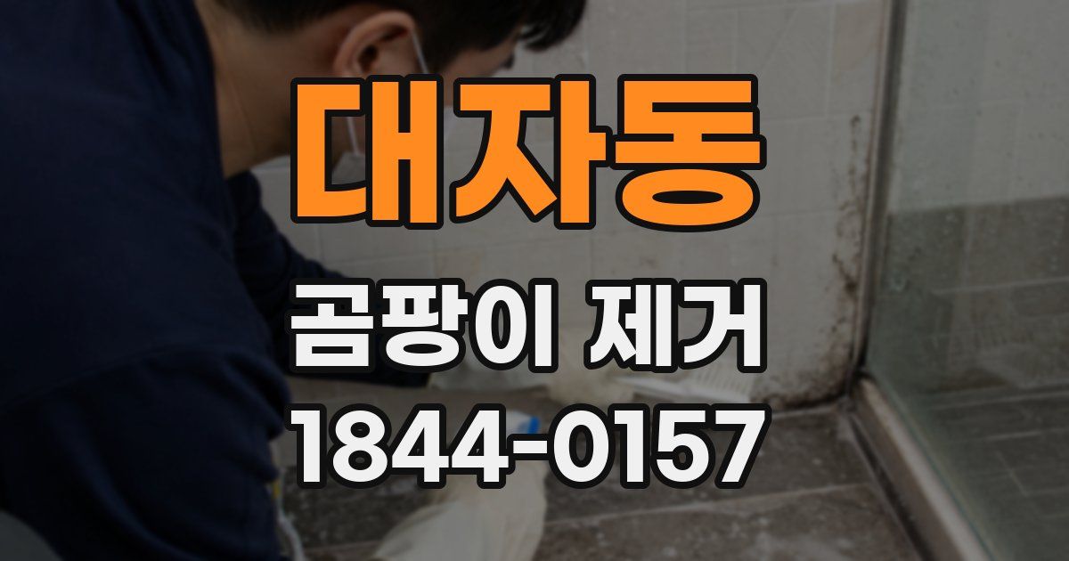 대자동 곰팡이 제거