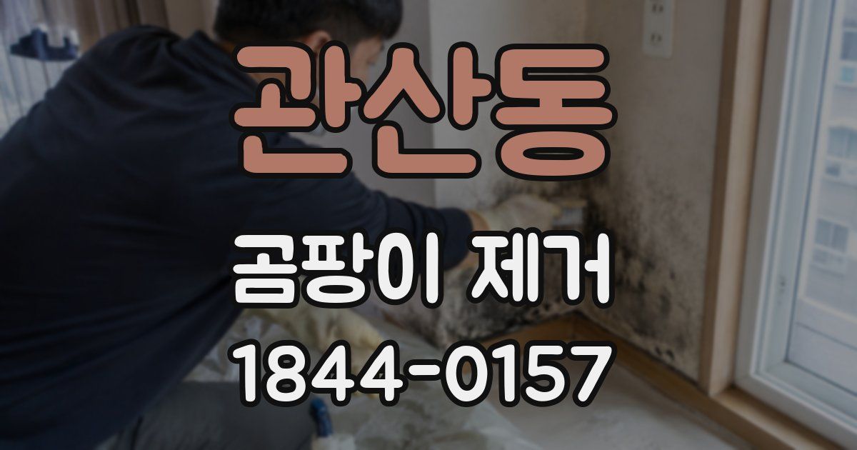 관산동 곰팡이 제거
