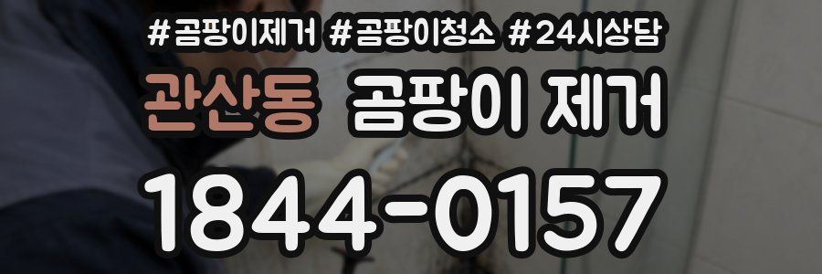 관산동 곰팡이 제거