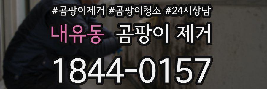 내유동 곰팡이 제거