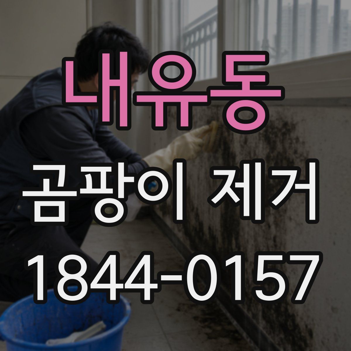 내유동 곰팡이 제거
