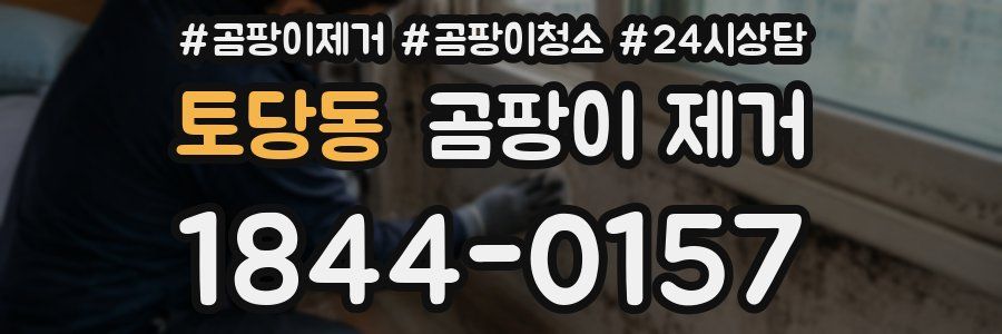 토당동 곰팡이 제거