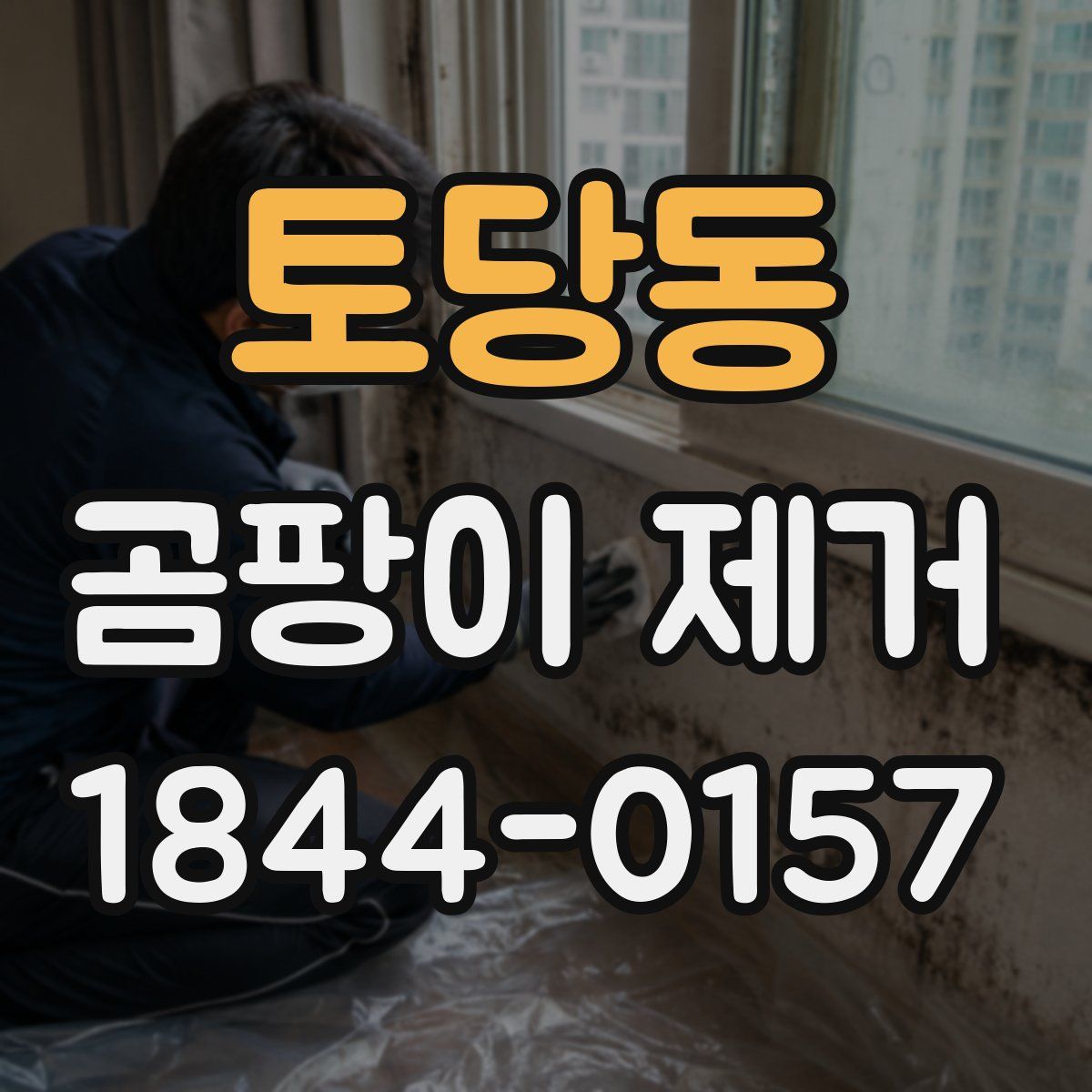 토당동 곰팡이 제거