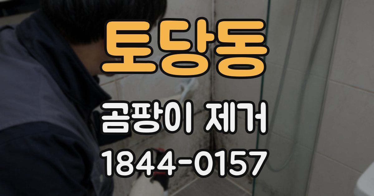 토당동 곰팡이 제거
