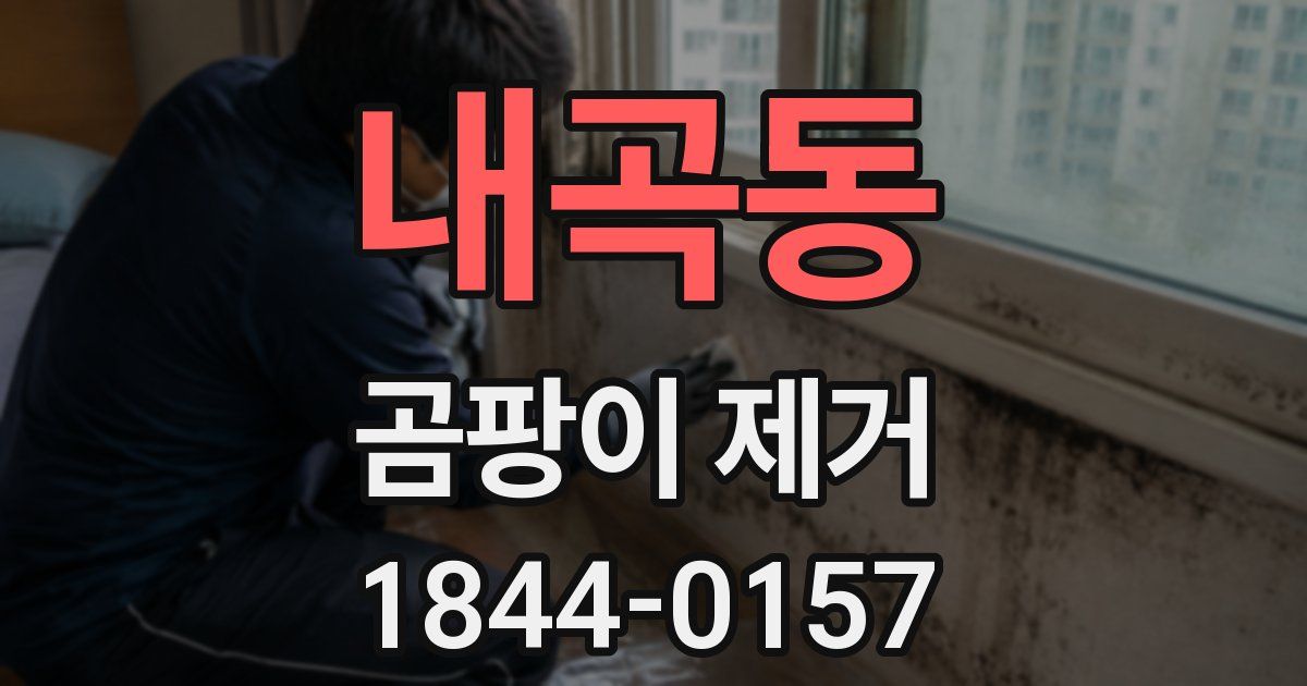 내곡동 곰팡이 제거