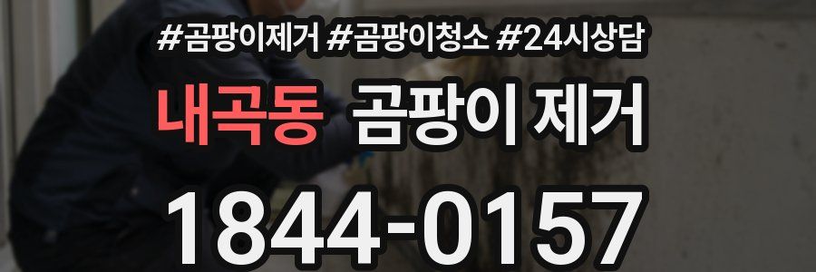 내곡동 곰팡이 제거