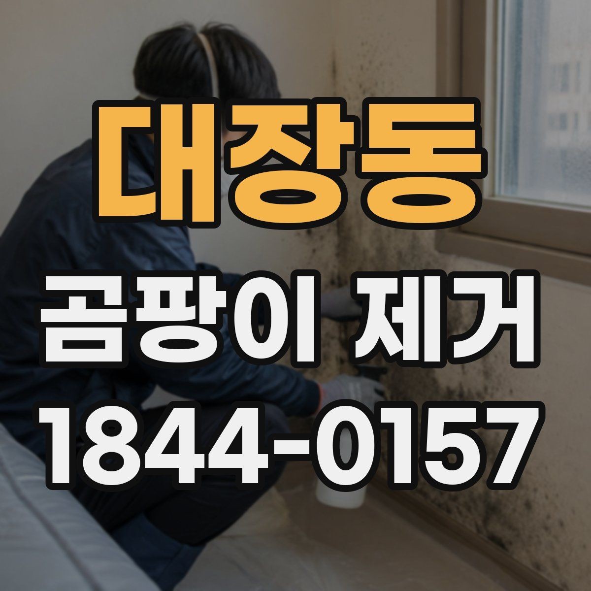 대장동 곰팡이 제거 페인트 작업 전 건조가 중요한 이유