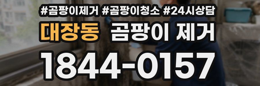 대장동 곰팡이 제거