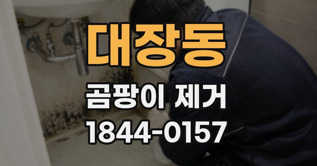 대장동 곰팡이 제거