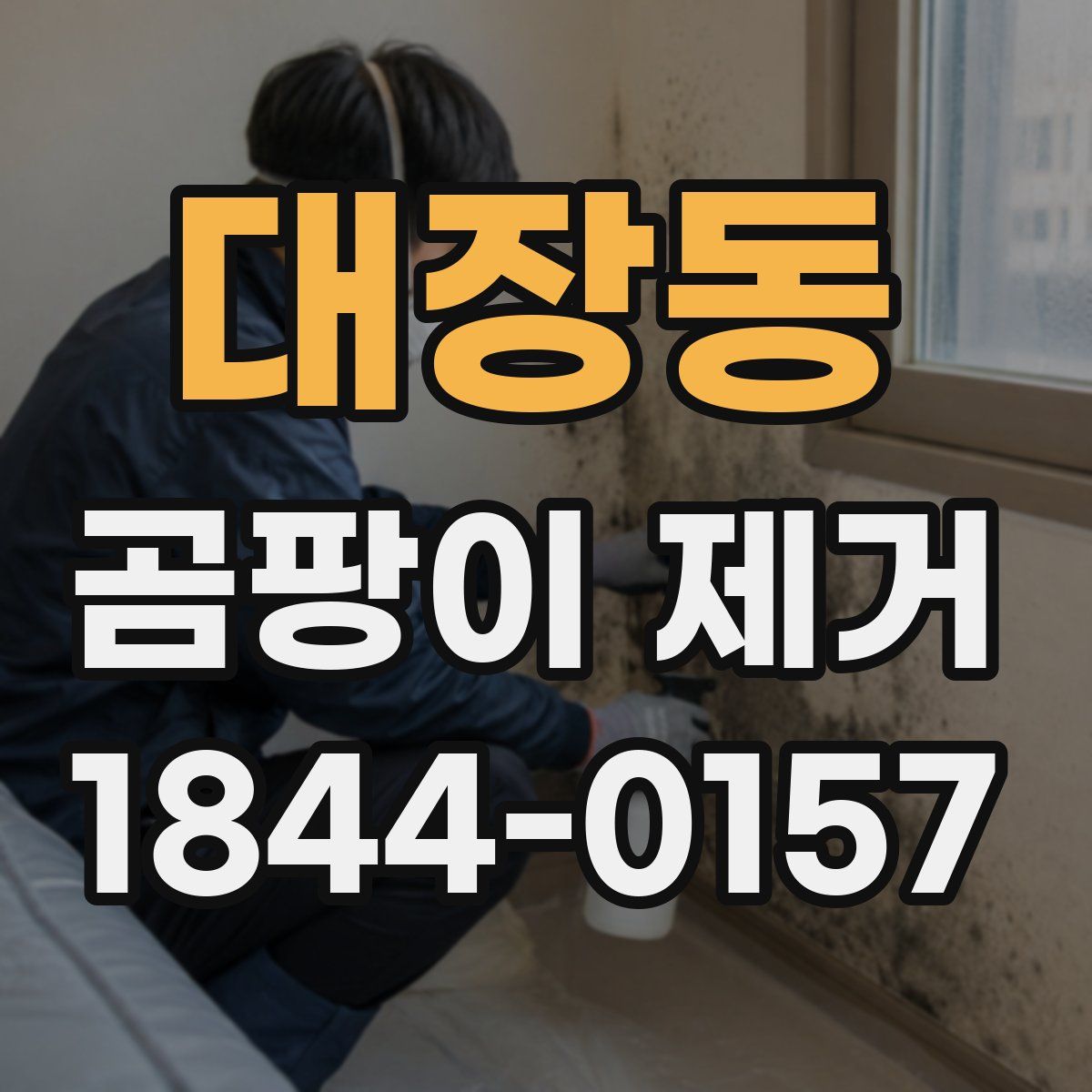 대장동 곰팡이 제거