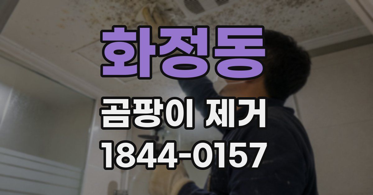 화정동 곰팡이 제거