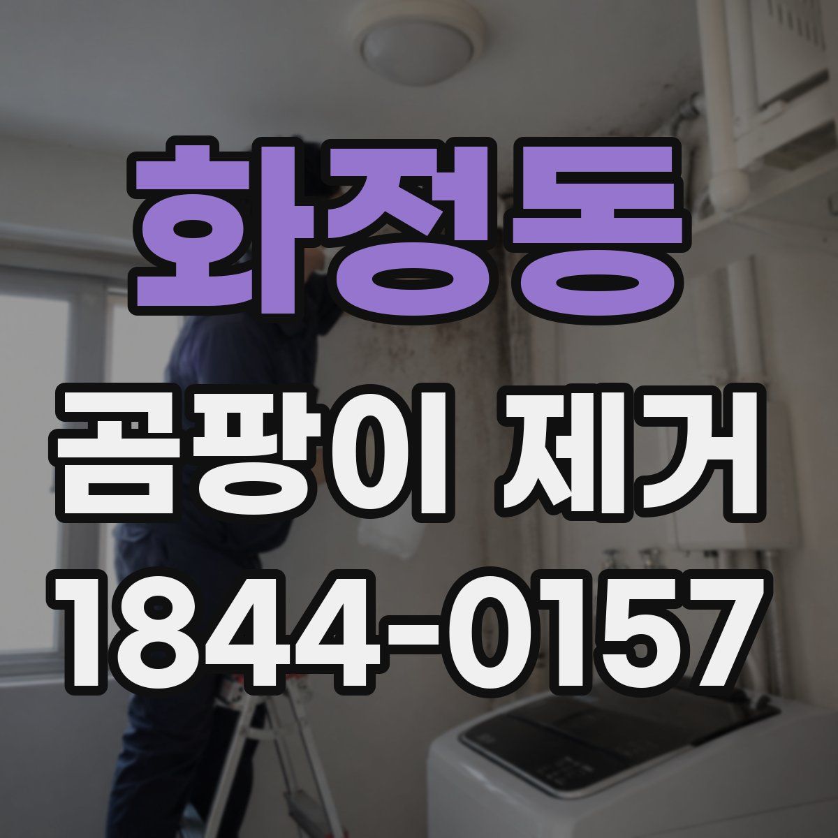 화정동 곰팡이 제거