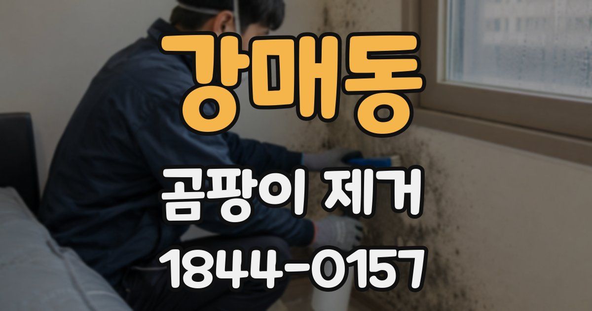 강매동 곰팡이 제거