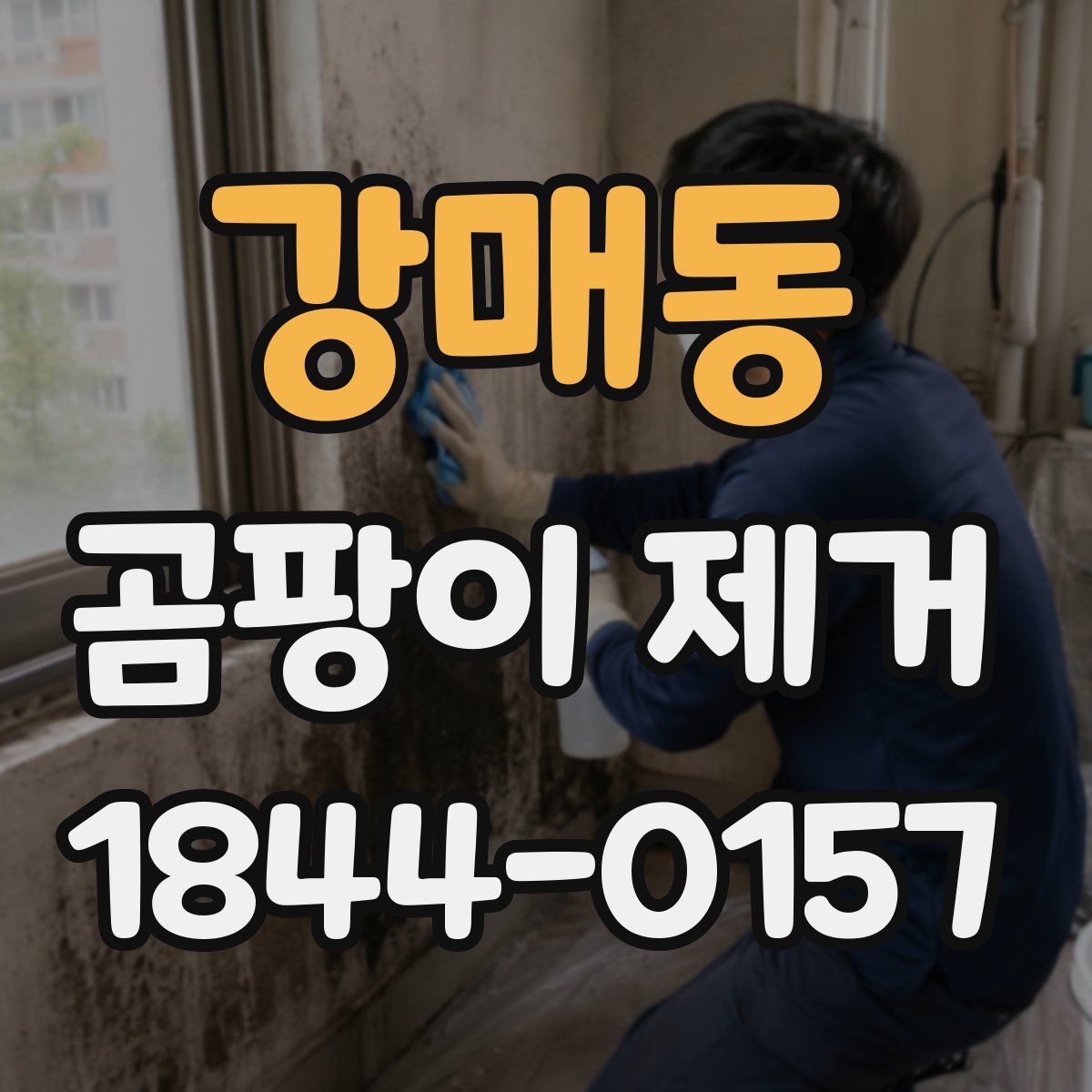 강매동 곰팡이 제거