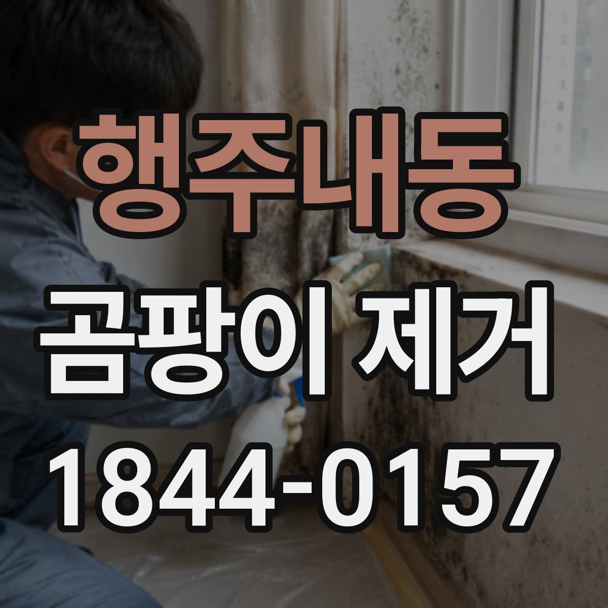 행주내동 곰팡이 제거