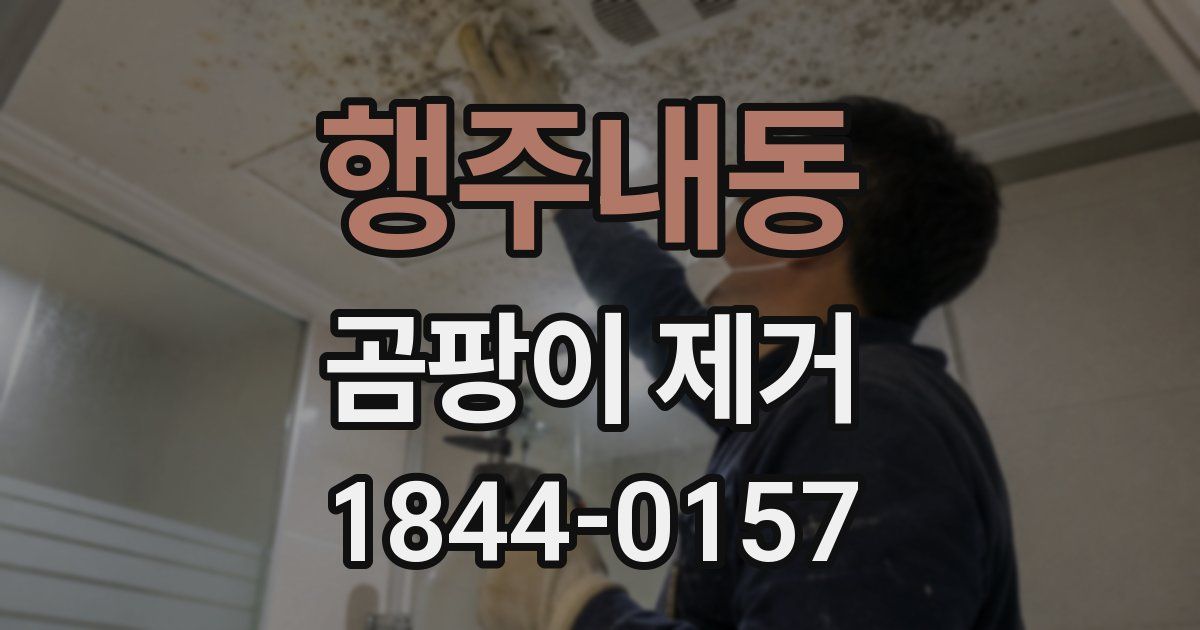 행주내동 곰팡이 제거