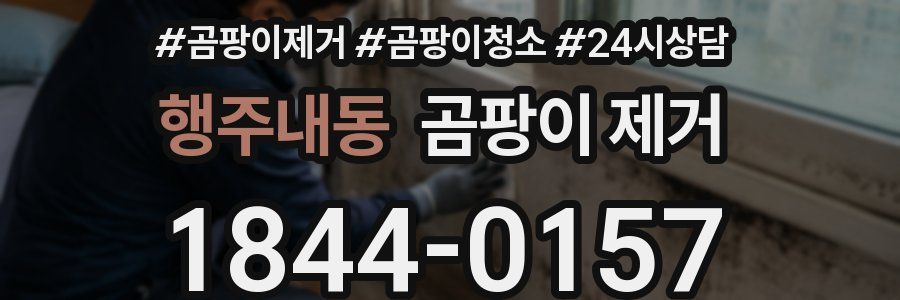 행주내동 곰팡이 제거