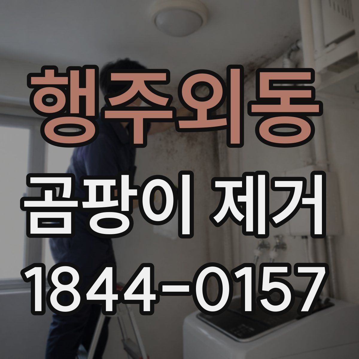 행주외동 곰팡이 제거 번짐을 막기 위한 청소 구역 나누기