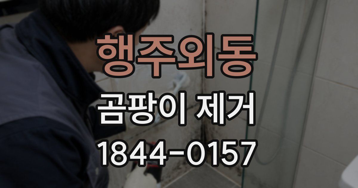 행주외동 곰팡이 제거