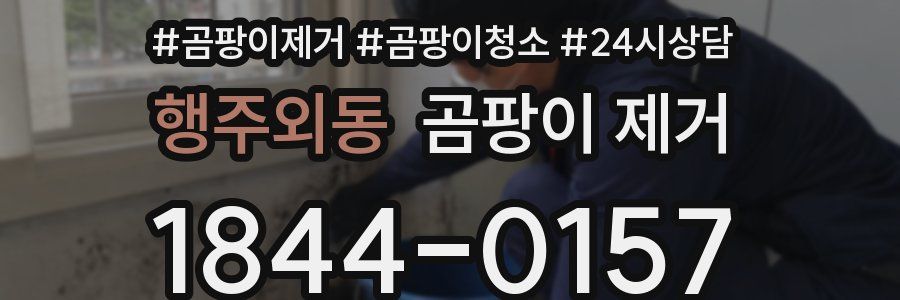 행주외동 곰팡이 제거