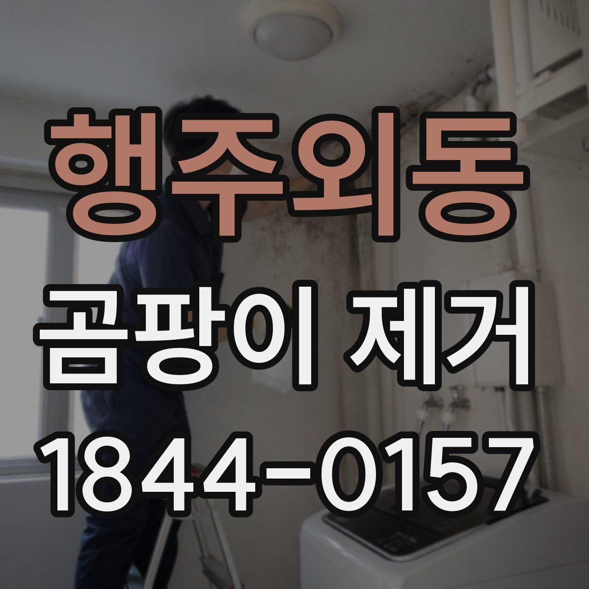 행주외동 곰팡이 제거