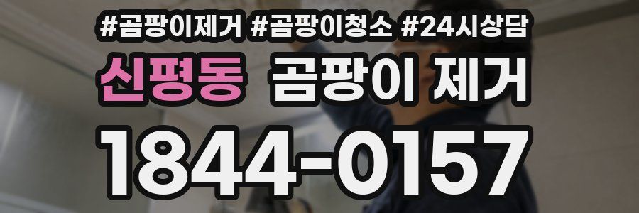 신평동 곰팡이 제거