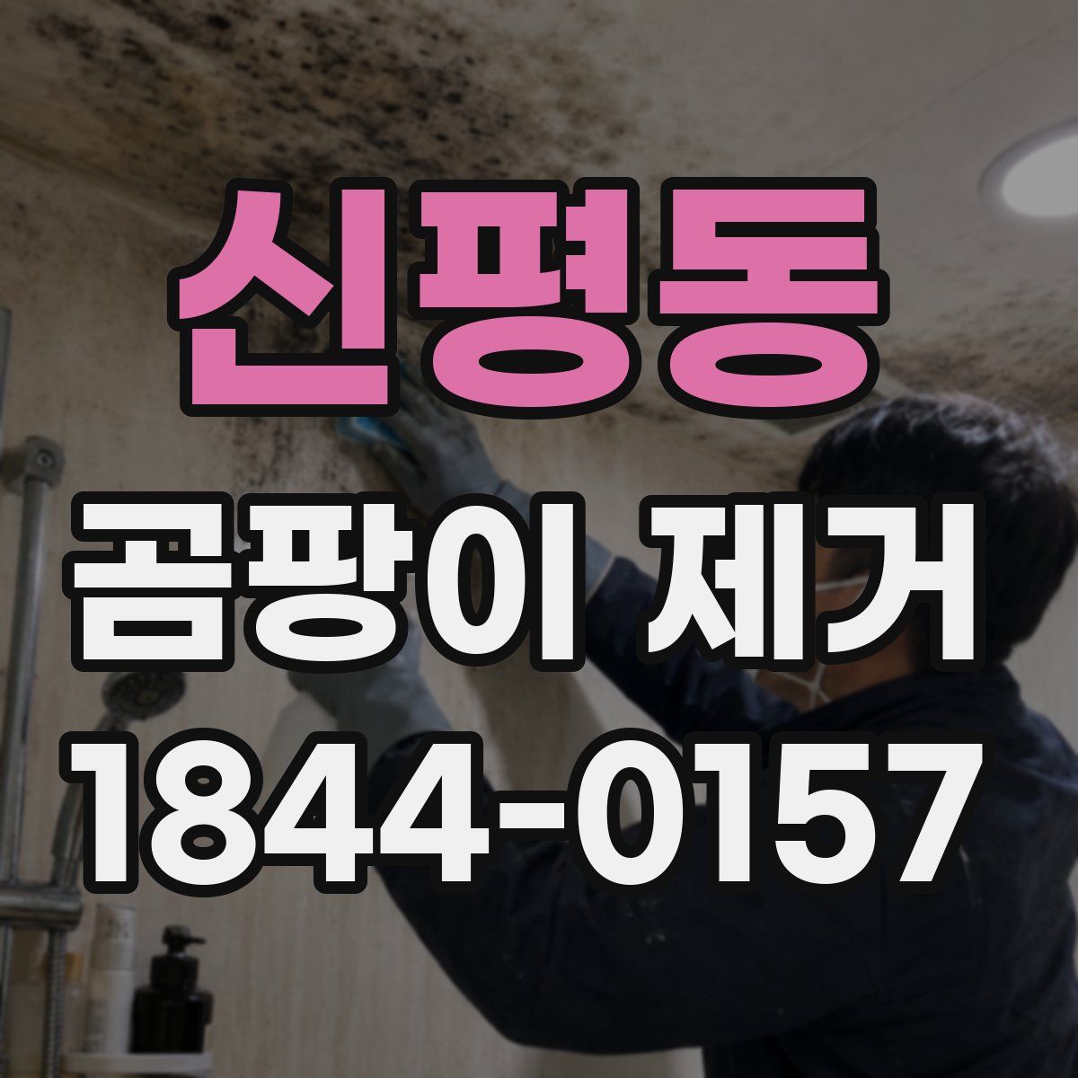 신평동 곰팡이 제거
