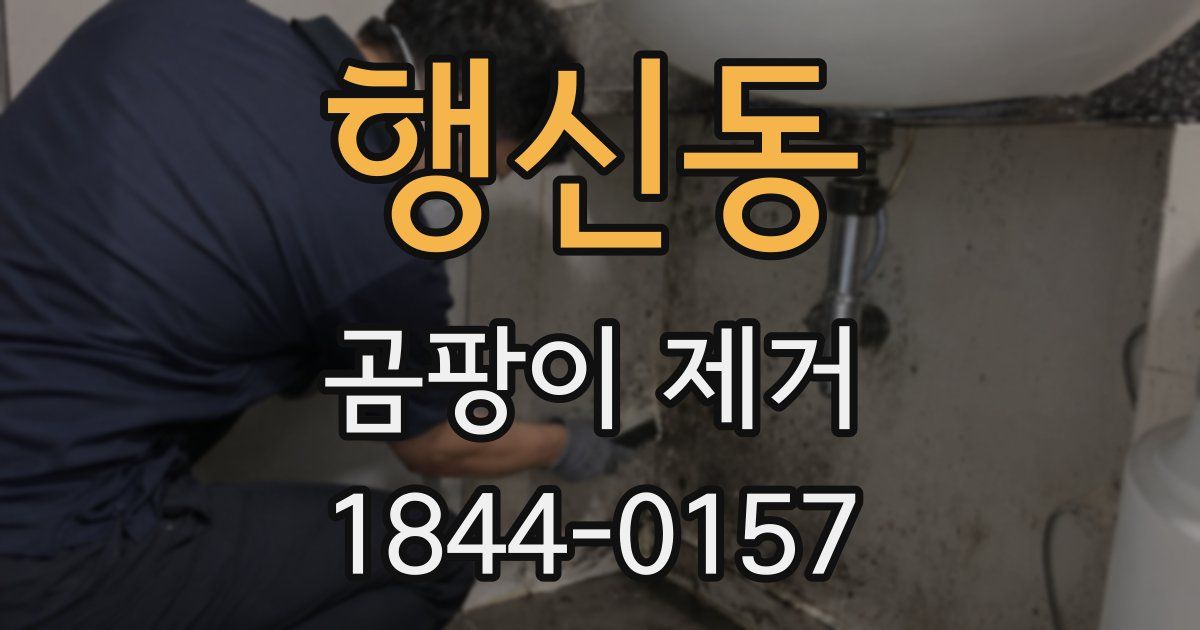 행신동 곰팡이 제거