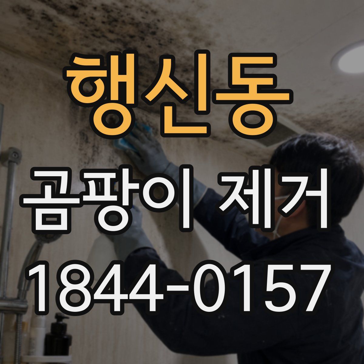 행신동 곰팡이 제거