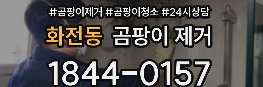 화전동 곰팡이 제거
