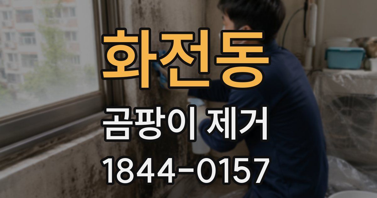 화전동 곰팡이 제거