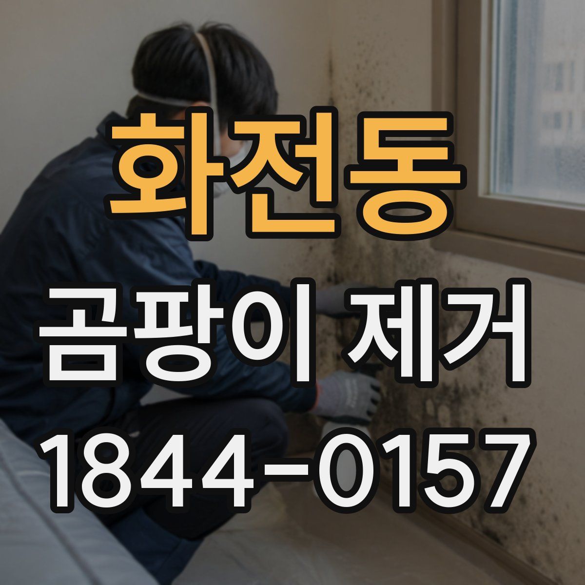 화전동 곰팡이 제거