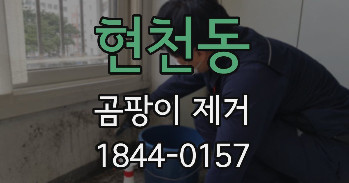 현천동 곰팡이 제거