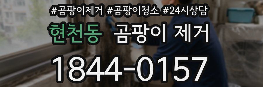 현천동 곰팡이 제거