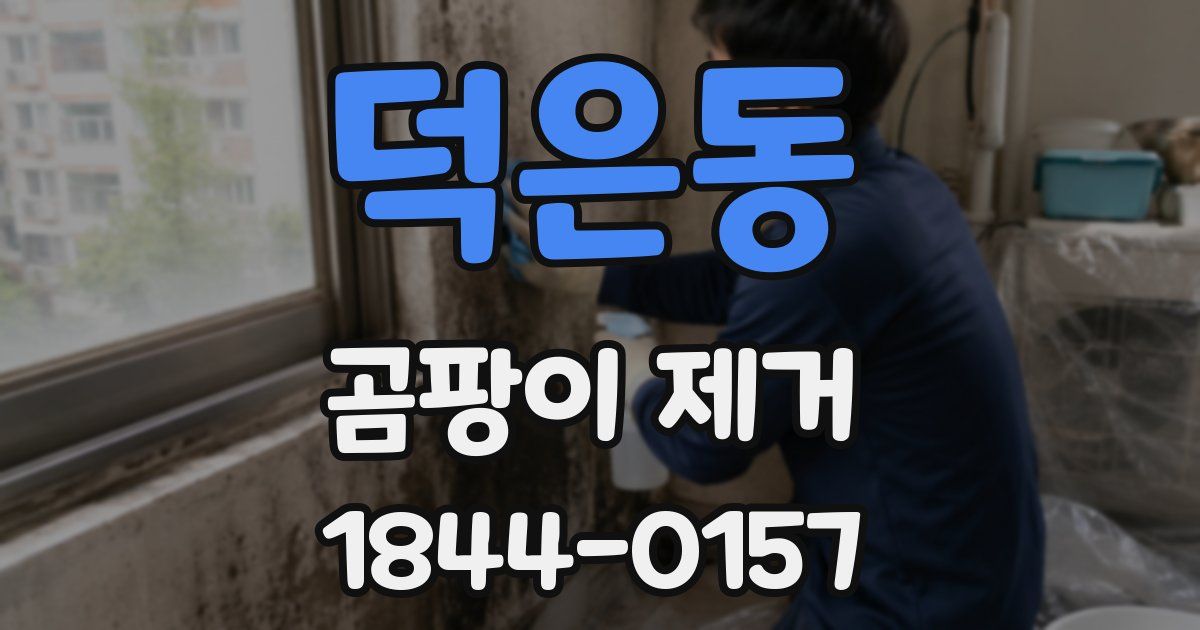 덕은동 곰팡이 제거
