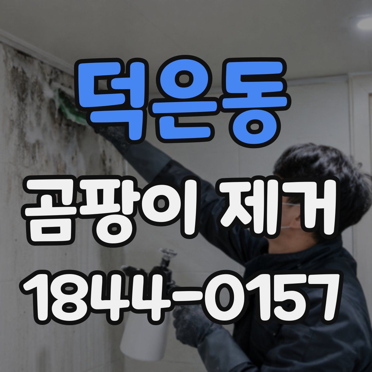 덕은동 곰팡이 제거