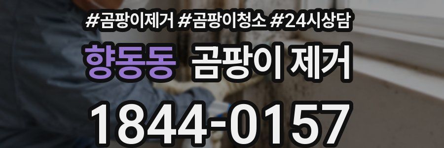 향동동 곰팡이 제거